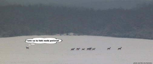 ... niekedy nie je na výber , alebo ?
